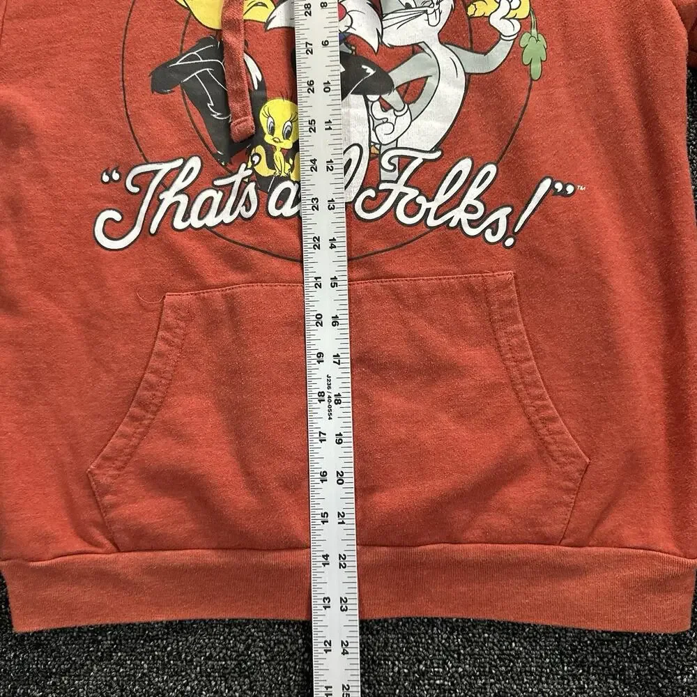 Looney Tunes Classic Character M7-9 Pull Over Hoodie Rust Front CharaGraphic